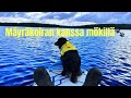 Myrkoiran kanssa mkillmyrkoiradachshund summer