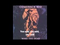 Comeback kid - Wake the Dead lyrics