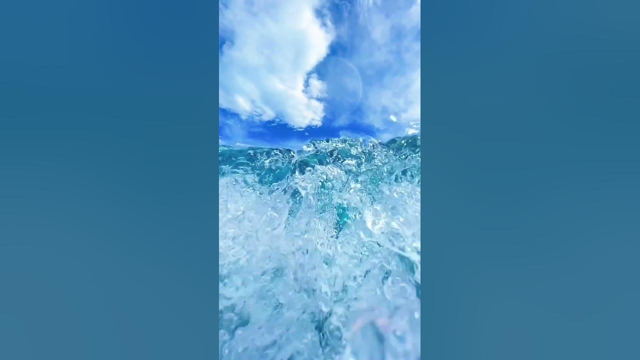 В глубине моря Вечная тишина