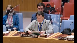 Statement by Chargé d&#39;Affaires Dmitry Polyanskiy at UNSC briefing on the Syrian chemical file