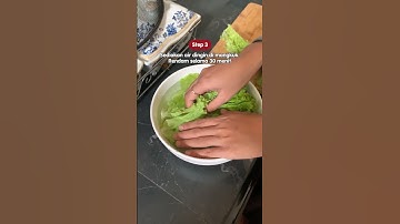 Thumbnail of Selada lagu? Gak lagi, deh! 🥬✨ #tips #tipsandtricks #tipsdapur #tipsyoutube #tipsmasak #fyp