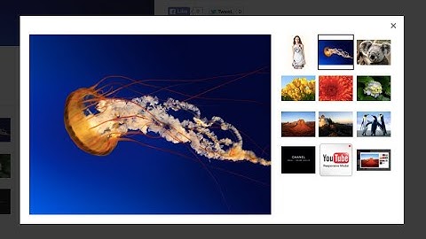 Admin Console for Ecomus YouTube Lightbox   Modal