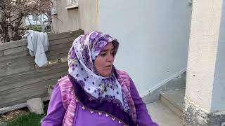 GELİN KAYNANA OT KAZDIK GELİN KAYNANA OT KAZDIK