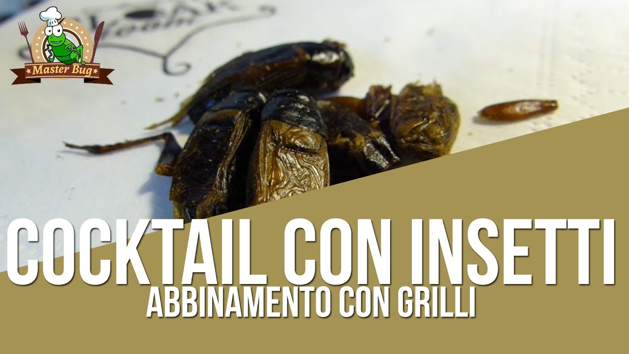 Cocktail con Insetti, abbinamento con Grilli al Curry 🍹🦗 - YouTube