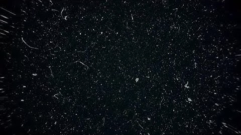 White Dust Particles Storm Stock Motion Graphics