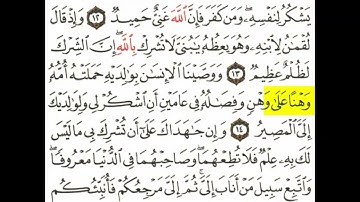 سورة لقمان من الآية 12-15❤️🎧📿