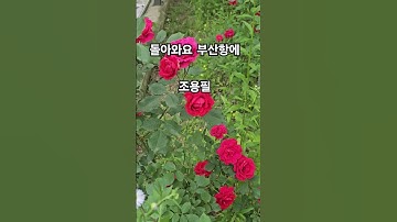 Thumbnail of 돌아와요 부산항에(조용필)서울뮤직tv kjs
