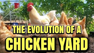INSIDE a Chicken COMPOSTING Yard: What I've Learned after TWO YEARS!