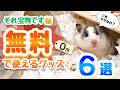 【無料なのに有能】ガチで使える0円ハムスターグッズ