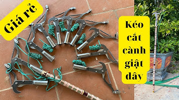 Kéo cắt cành giật dây | Kéo cắt cành trên cao giật dây | Giá Rẻ | Shop Đức An