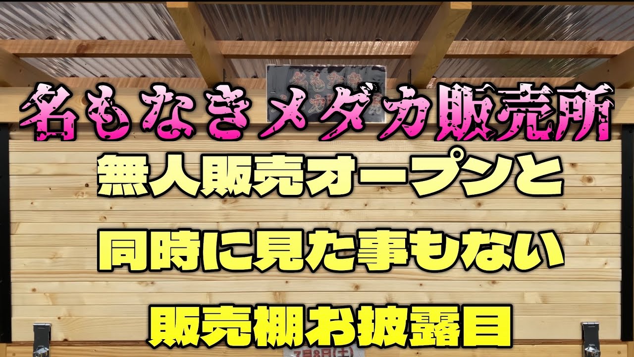 名もなきメダカ販売所が無人販売オープンと同時に見た事もない販売棚