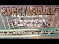 $5 Spectacular Wild Time Scratch-Off! Did I Win Big?