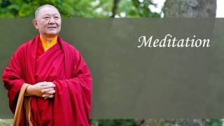 The Present | Ringu Tulku Rinpoche