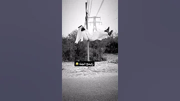 جبرني وداد الحبيب المليح حب سعادة نكهات مختلفة كوميدي 