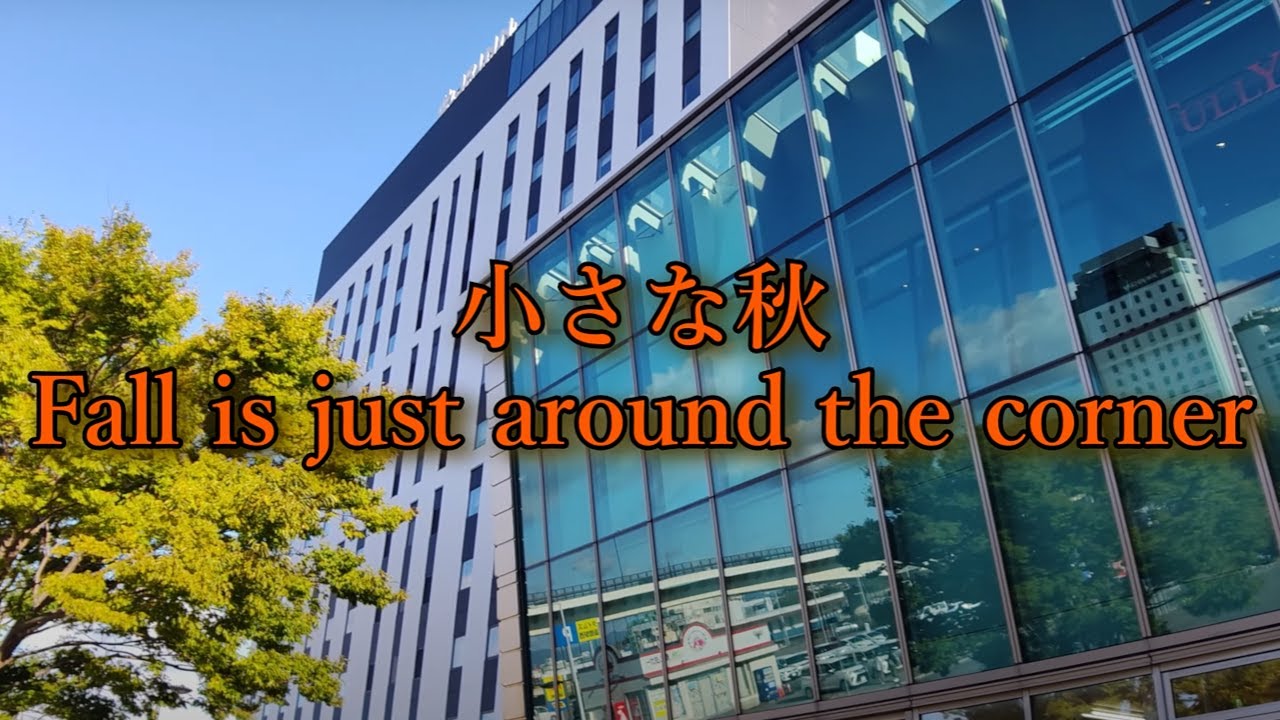 20240919【4K Cine2 4】小さい秋 Fall is just around the corner - YouTube