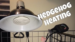 Hedgehog Care: Hedgehog Heating & How to Avoid Hibernation Attempts