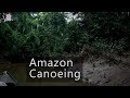 Jungle sounds - dawn in the Amazon rainforest