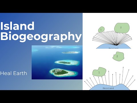 Video: Come è stata testata la teoria della biogeografia insulare?