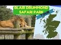 A tour of Blair Drummond Safari Park Scotland | Scotland tours