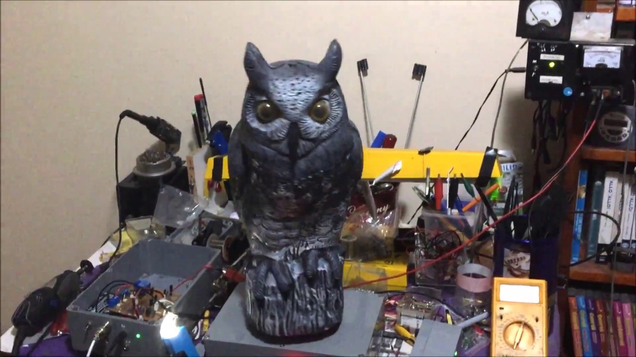 How to Scare Birds With a Spinning Owl Bird Scarer YouTube
