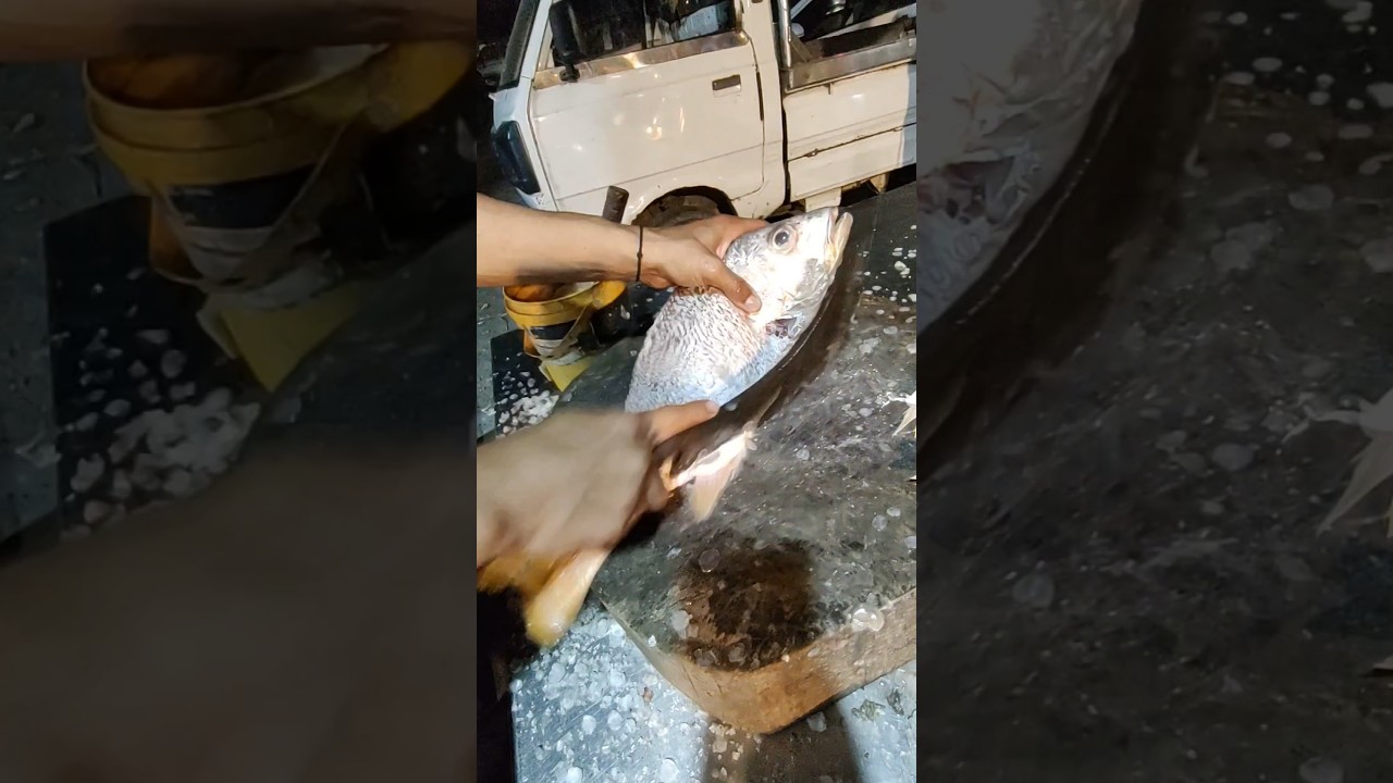 How to Cut Red Snapper For Bbq – No More Dry Fish 