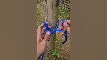Simple Knot💯#knots #knottying #howtoknot #ropework #usefulknots #diytutorial #skillbuilding #shorts