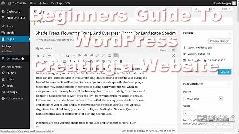 Beginners Guide to WordPress - Creating a Website