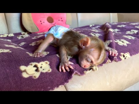 Sweet B0y Fast Fall A Sleep With A Froq Style