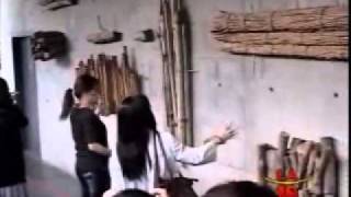Vietnamese News Episode 9 Travel to Taiwan iwth LA Celebrity part 2 08022011.wmv