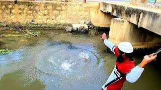 Fish Hunting|Fisherman Caught Cat Fishes|in Village