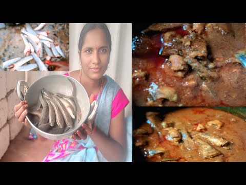 మట్టాగిడిశలు &బురదమట్టలు చేపల కూర చేద్దాం రండి ఫ్రెండ్స్ చాల రుచిగా ఉంటది 😋👌👌#food #vlog #anjali //