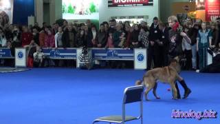 Dance with dogs! Dog show - 2011 Eurasia, Moscow. by KinologVideo 5,098 views 12 years ago 4 minutes, 2 seconds