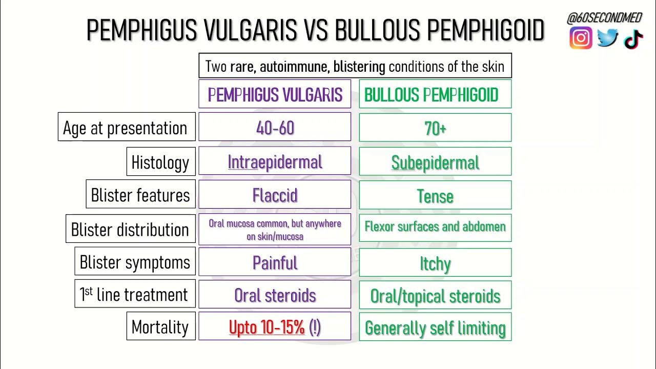 72 Seconds On Pemphigus Vulgaris Vs Bullous Pemphigoid - Youtube