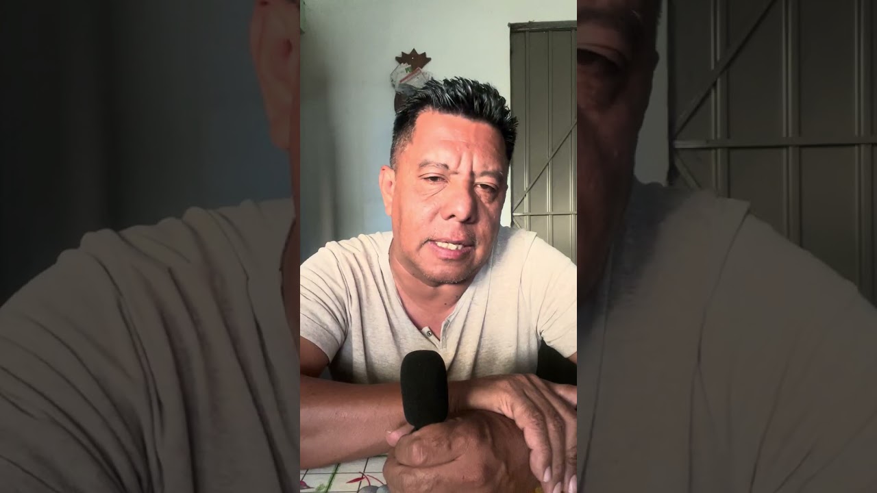 Contenido 24/01/2026