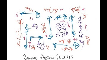 Light Language: Remove Physical Parasites