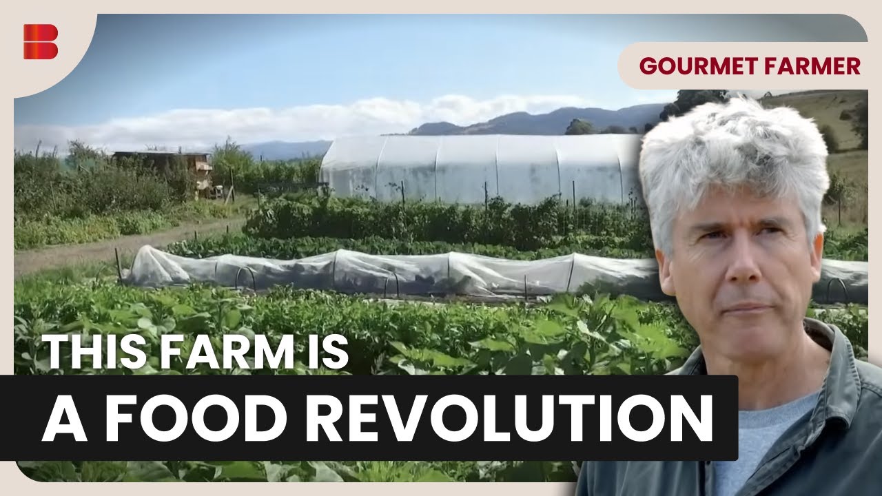 Fat Pig Farm Shows How Soil Regeneration Works | Gourmet Farmer | Documentary