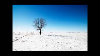 القارئ : شيرزاد طاهر - سورة البلد