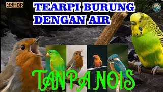 bird therapy water sounds - the sound of calm flowing water - the sound of gurgling flowing water