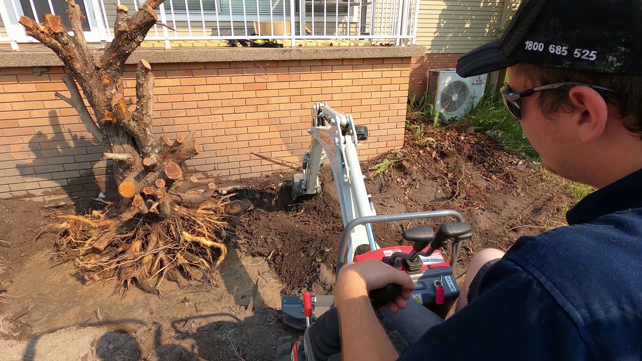 Digging up tree stumps with a Takeuchi 210R (1.1 Tonne Mini Excavator) [1] YouTube