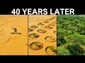 How One Man Reversed Desertification While Governments Failed — Now His Forest Shocks the World