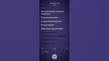 Thumbnail of Ainsi bas la vida song lyrics 🔥!!