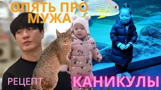 Не повезло моему мужу/ Каникулы/ Рецепт/ Korea vlog