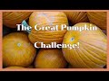 The Great Pumpkin Challenge  ||   Pumpkin Hash