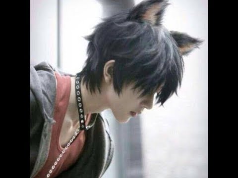 Nico Nico Nii NEKO BOY BAILE KAWAI Definitivo - YouTube