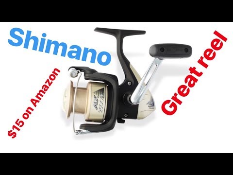 Shimano AX 4000 FB Review Impressive 