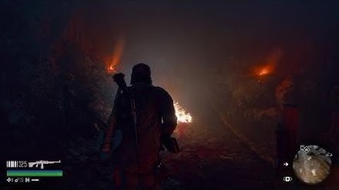 Days Gone trapped in cave no horde!