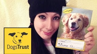 Sponsor A Dog From The Dogs Trust