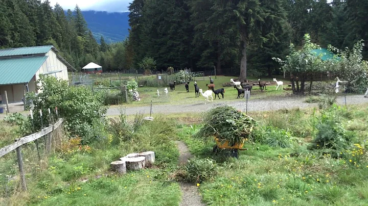At summers end, the front seed bank is harvested o...