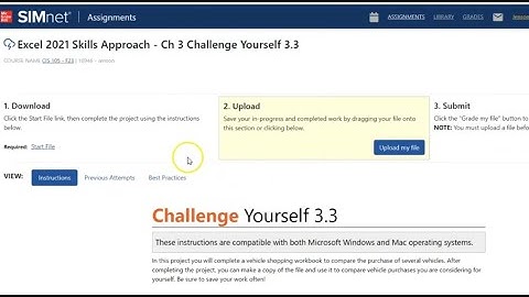 Excel 2021 Skills Approach - Ch 3 Challenge Yourself 3.3 | SIMnet Assignments