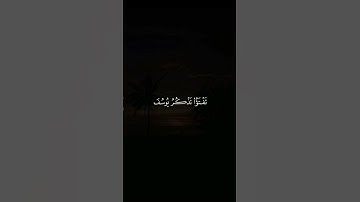 ﴿ فَصَبْرٌ جَمِيلٌ ﴾ | تلاوة مؤثرة من سورة يوسف